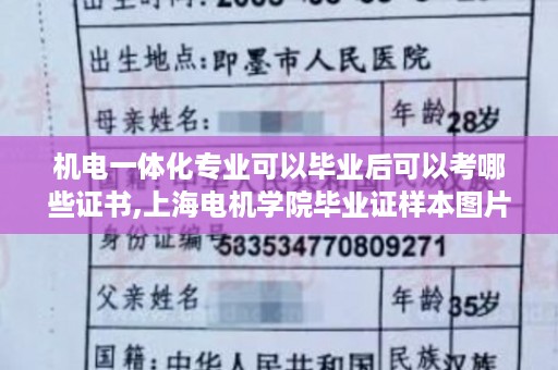 机电一体化专业可以毕业后可以考哪些证书,上海电机学院毕业证样本图片