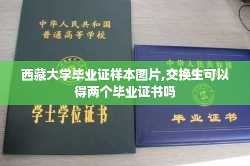 西藏大学毕业证样本图片,交换生可以得两个毕业证书吗