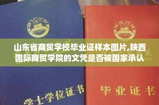 山东省商贸学校毕业证样本图片,陕西国际商贸学院的文凭是否被国家承认