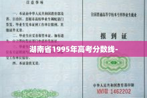 湖南省1995年高考分数线-