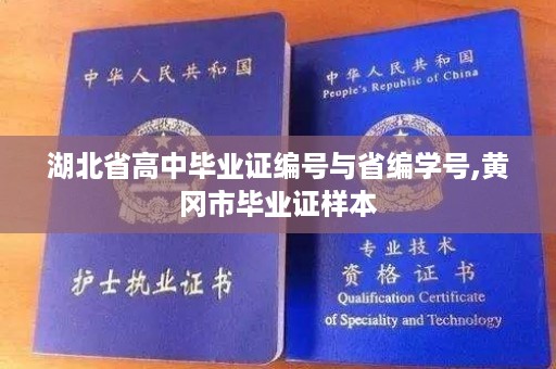 湖北省高中毕业证编号与省编学号,黄冈市毕业证样本