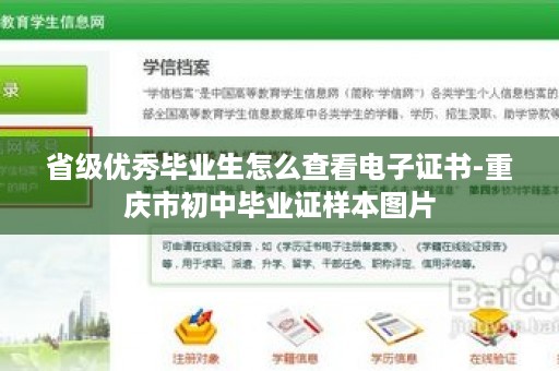省级优秀毕业生怎么查看电子证书-重庆市初中毕业证样本图片