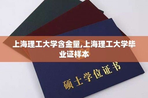 上海理工大学含金量,上海理工大学毕业证样本