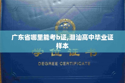 广东省哪里能考b证,潮汕高中毕业证样本