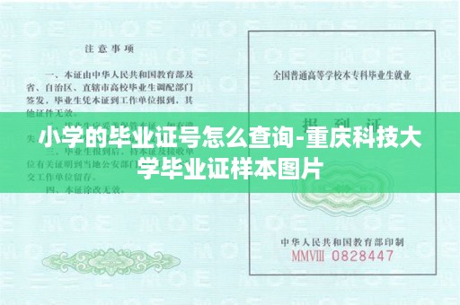小学的毕业证号怎么查询-重庆科技大学毕业证样本图片