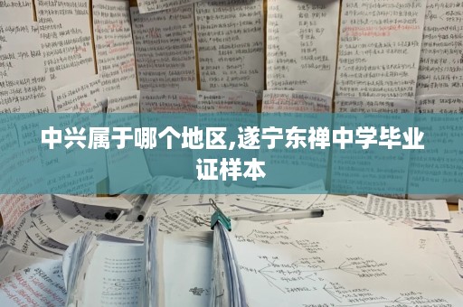 中兴属于哪个地区,遂宁东禅中学毕业证样本