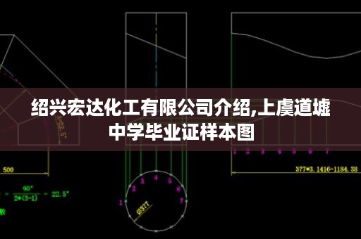 绍兴宏达化工有限公司介绍,上虞道墟中学毕业证样本图