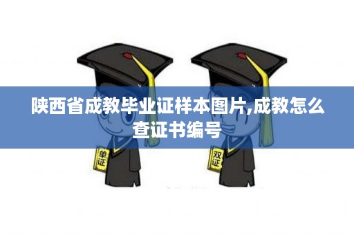 陕西省成教毕业证样本图片,成教怎么查证书编号