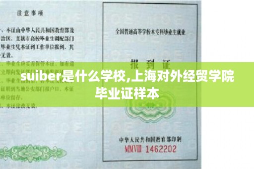suiber是什么学校,上海对外经贸学院毕业证样本
