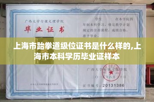 上海市跆拳道级位证书是什么样的,上海市本科学历毕业证样本