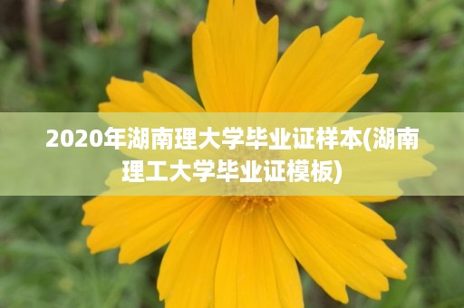 2020年湖南理大学毕业证样本(湖南理工大学毕业证模板)