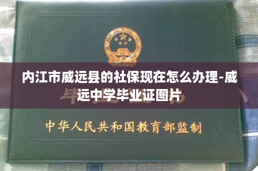内江市威远县的社保现在怎么办理-威远中学毕业证图片