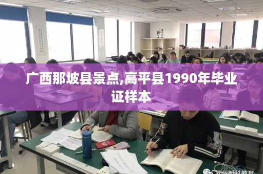 广西那坡县景点,高平县1990年毕业证样本