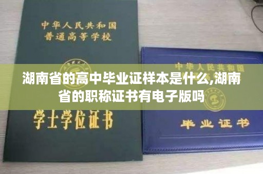 湖南省的高中毕业证样本是什么,湖南省的职称证书有电子版吗