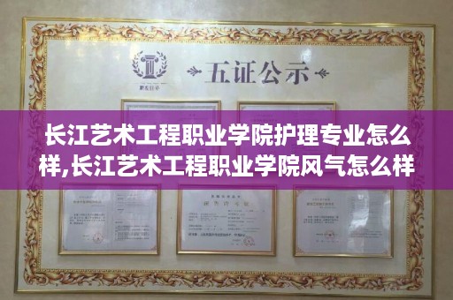 长江艺术工程职业学院护理专业怎么样,长江艺术工程职业学院风气怎么样