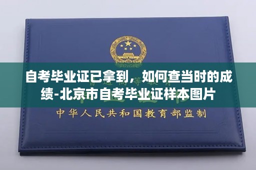 自考毕业证已拿到，如何查当时的成绩-北京市自考毕业证样本图片