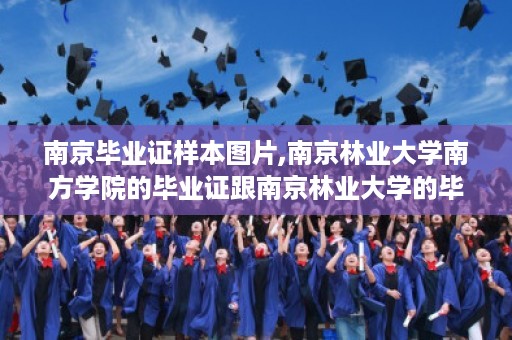 南京毕业证样本图片,南京林业大学南方学院的毕业证跟南京林业大学的毕业证到底有没有区别，到底有什么区别