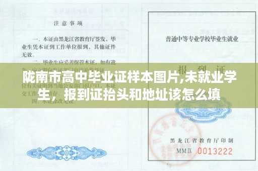 陇南市高中毕业证样本图片,未就业学生，报到证抬头和地址该怎么填
