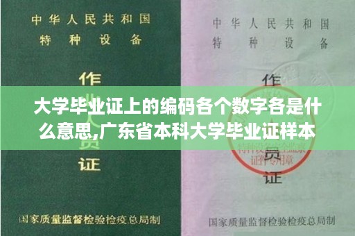 大学毕业证上的编码各个数字各是什么意思,广东省本科大学毕业证样本