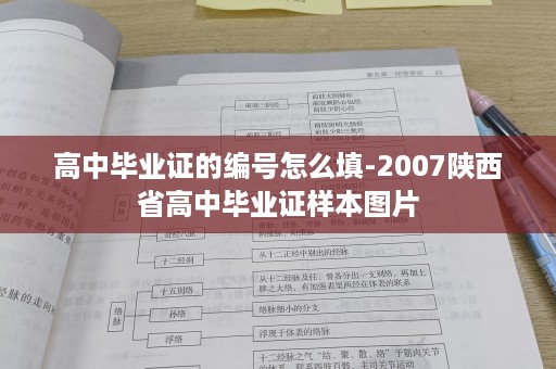 高中毕业证的编号怎么填-2007陕西省高中毕业证样本图片
