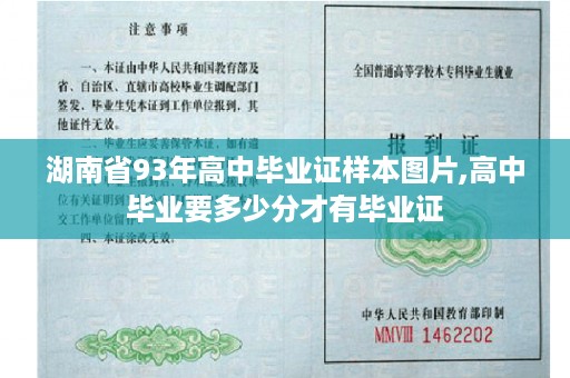湖南省93年高中毕业证样本图片,高中毕业要多少分才有毕业证