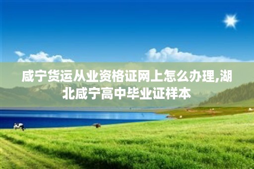 咸宁货运从业资格证网上怎么办理,湖北咸宁高中毕业证样本