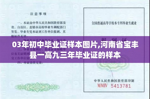03年初中毕业证样本图片,河南省宝丰县一高九三年毕业证的样本