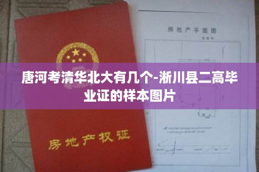 唐河考清华北大有几个-淅川县二高毕业证的样本图片