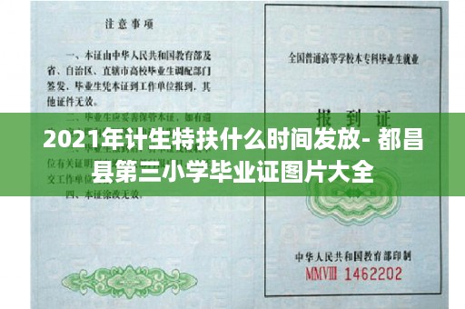 2021年计生特扶什么时间发放- 都昌县第三小学毕业证图片大全