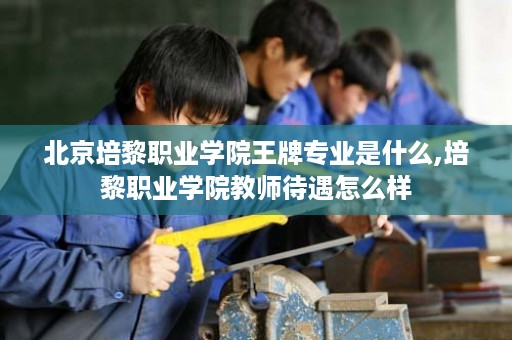 北京培黎职业学院王牌专业是什么,培黎职业学院教师待遇怎么样