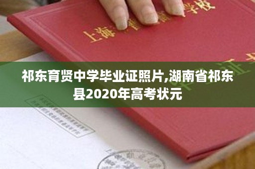 祁东育贤中学毕业证照片,湖南省祁东县2020年高考状元