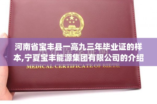 河南省宝丰县一高九三年毕业证的样本,宁夏宝丰能源集团有限公司的介绍