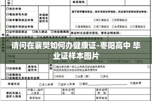 请问在襄樊如何办健康证-枣阳高中 毕业证样本图片