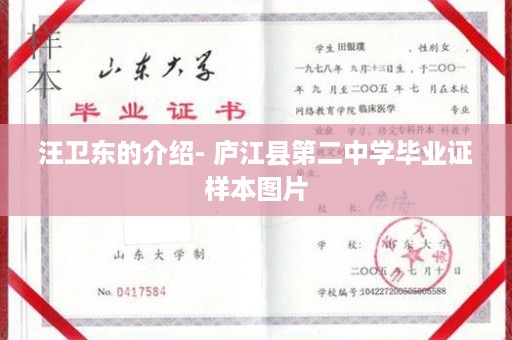 汪卫东的介绍- 庐江县第二中学毕业证样本图片