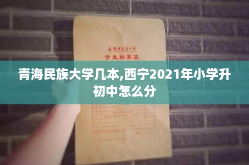青海民族大学几本,西宁2021年小学升初中怎么分