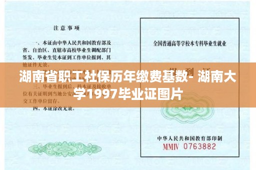 湖南省职工社保历年缴费基数- 湖南大学1997毕业证图片