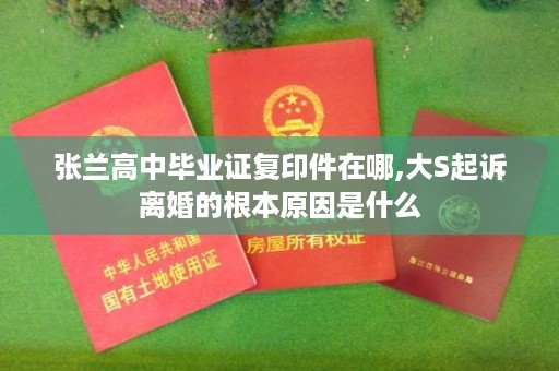 张兰高中毕业证复印件在哪,大S起诉离婚的根本原因是什么