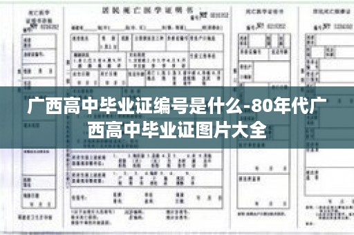 广西高中毕业证编号是什么-80年代广西高中毕业证图片大全