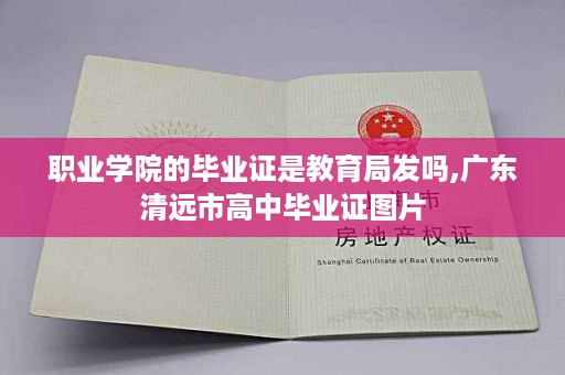 职业学院的毕业证是教育局发吗,广东清远市高中毕业证图片