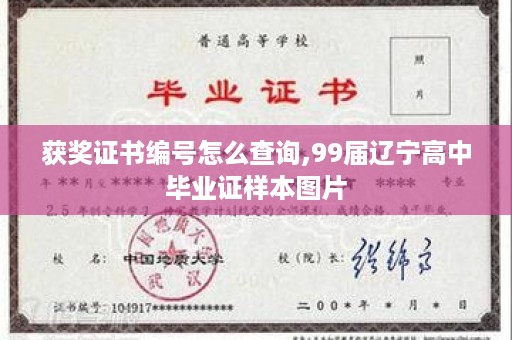 获奖证书编号怎么查询,99届辽宁高中毕业证样本图片