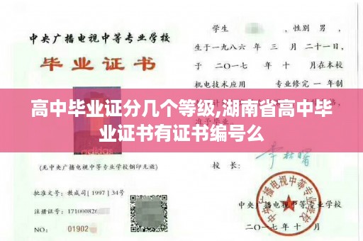 高中毕业证分几个等级,湖南省高中毕业证书有证书编号么